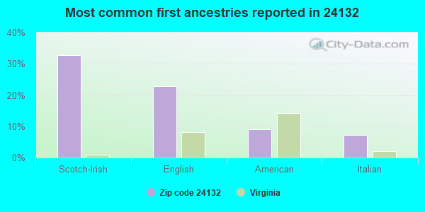 Most common first ancestries reported in 24132