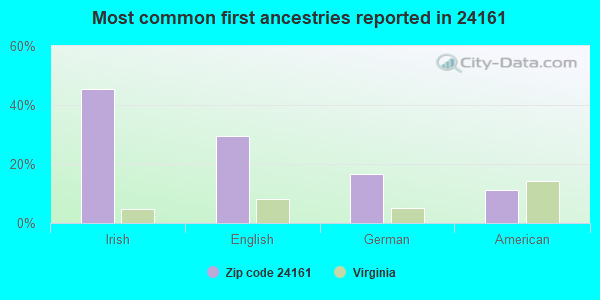 Most common first ancestries reported in 24161