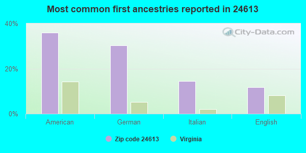 Most common first ancestries reported in 24613