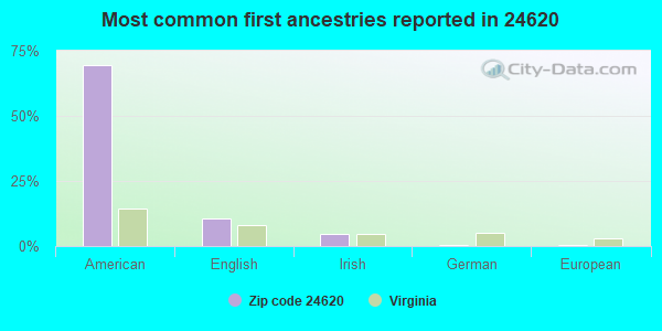 Most common first ancestries reported in 24620