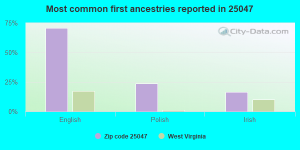 Most common first ancestries reported in 25047