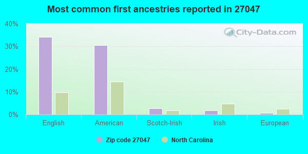 Most common first ancestries reported in 27047