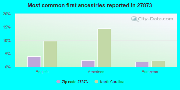 Most common first ancestries reported in 27873