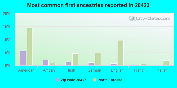 Most common first ancestries reported in 28423