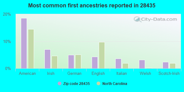 Most common first ancestries reported in 28435