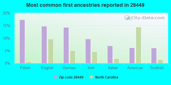Most common first ancestries reported in 28449