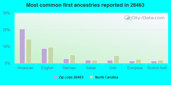 Most common first ancestries reported in 28463