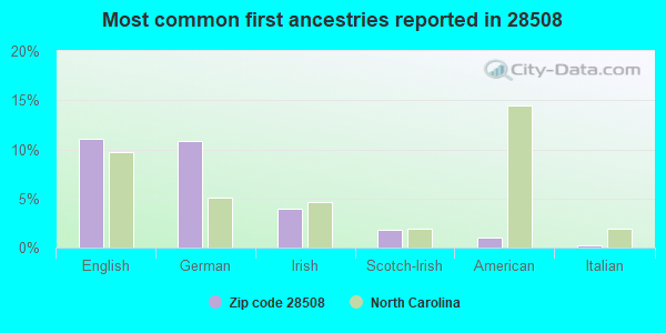 Most common first ancestries reported in 28508