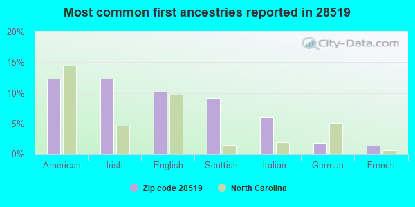 Most common first ancestries reported in 28519