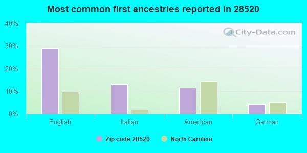 Most common first ancestries reported in 28520
