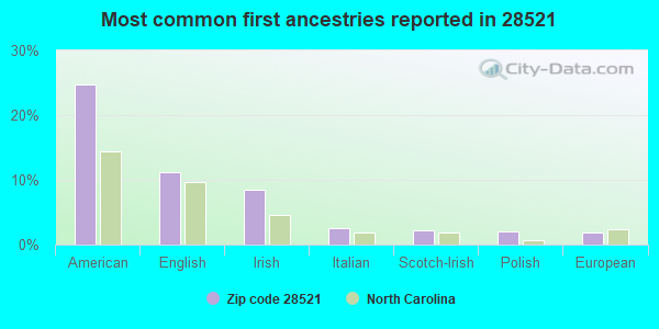 Most common first ancestries reported in 28521