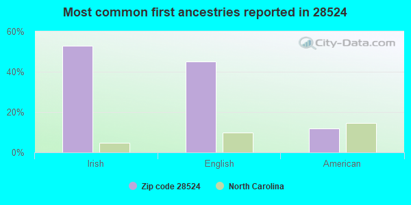 Most common first ancestries reported in 28524