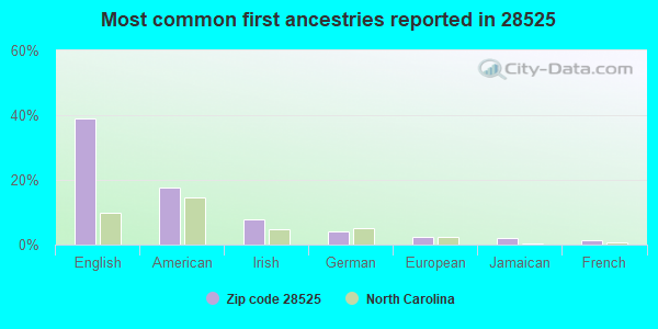 Most common first ancestries reported in 28525