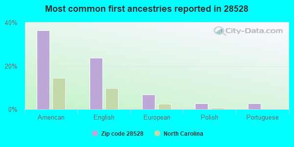 Most common first ancestries reported in 28528