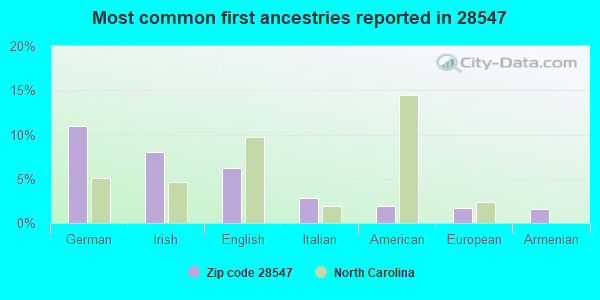 Most common first ancestries reported in 28547