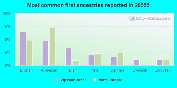 Most common first ancestries reported in 28555