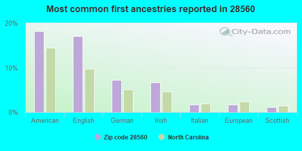 Most common first ancestries reported in 28560