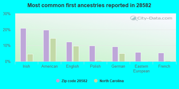 Most common first ancestries reported in 28582