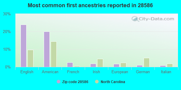 Most common first ancestries reported in 28586