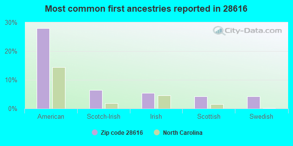 Most common first ancestries reported in 28616