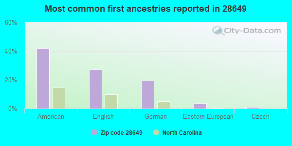 Most common first ancestries reported in 28649