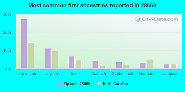 Most common first ancestries reported in 28669