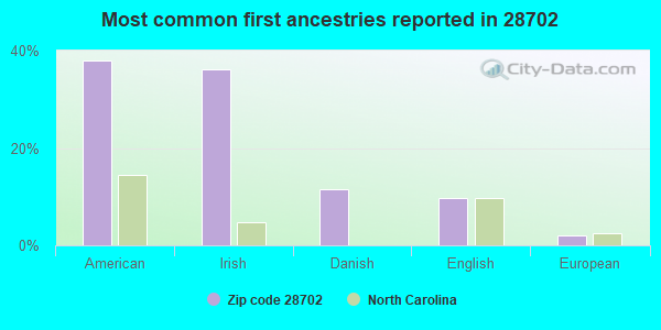 Most common first ancestries reported in 28702