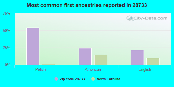 Most common first ancestries reported in 28733