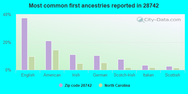 Most common first ancestries reported in 28742