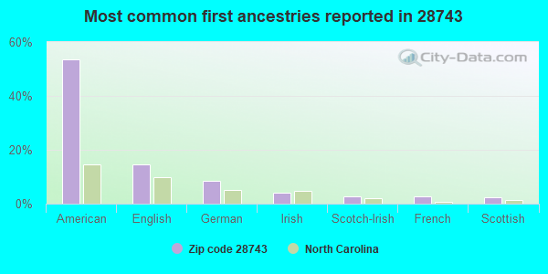 Most common first ancestries reported in 28743
