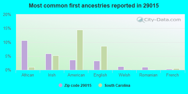 Most common first ancestries reported in 29015