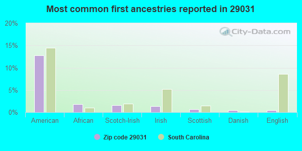 Most common first ancestries reported in 29031