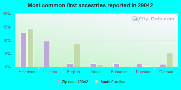 Most common first ancestries reported in 29042