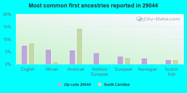 Most common first ancestries reported in 29044