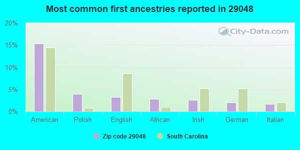 Most common first ancestries reported in 29048