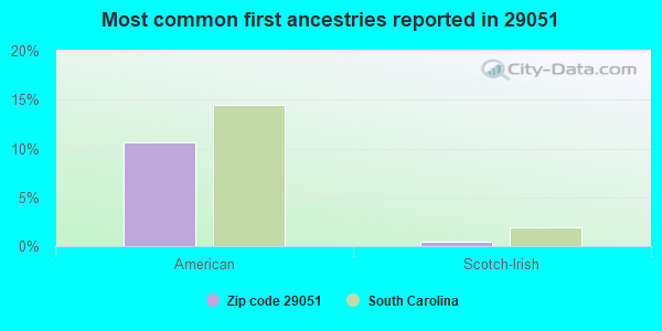 Most common first ancestries reported in 29051