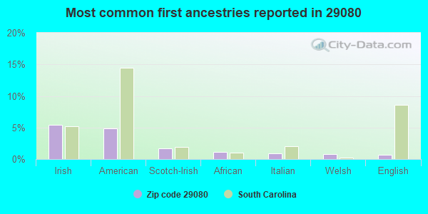 Most common first ancestries reported in 29080