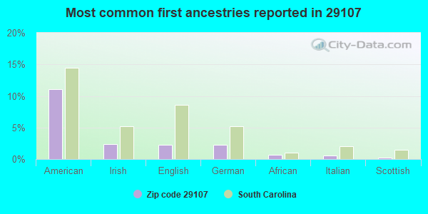 Most common first ancestries reported in 29107