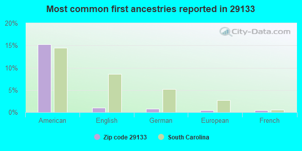 Most common first ancestries reported in 29133