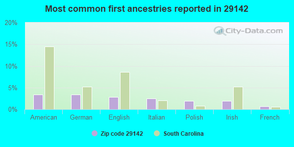 Most common first ancestries reported in 29142