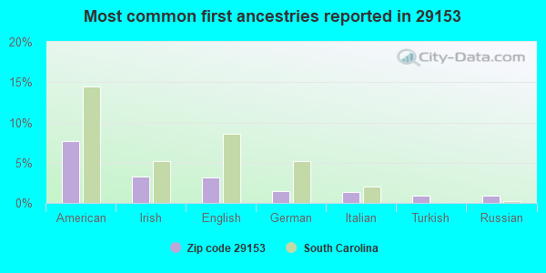 Most common first ancestries reported in 29153