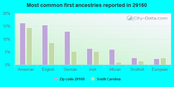 Most common first ancestries reported in 29160