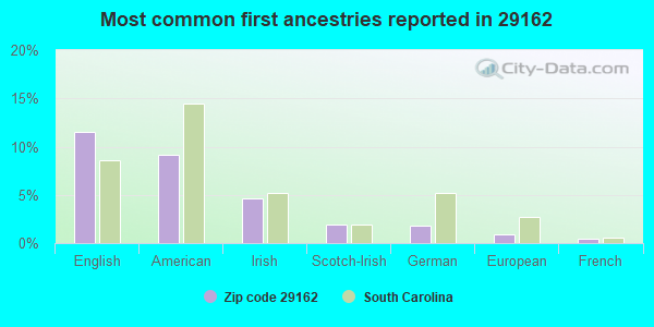 Most common first ancestries reported in 29162