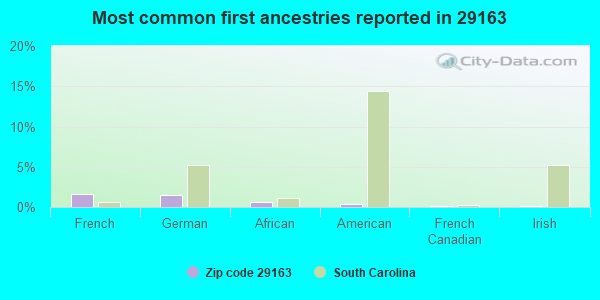 Most common first ancestries reported in 29163