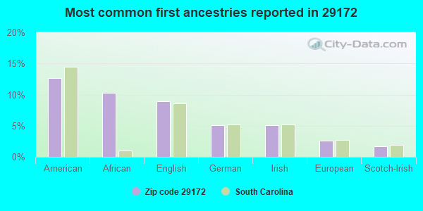 Most common first ancestries reported in 29172
