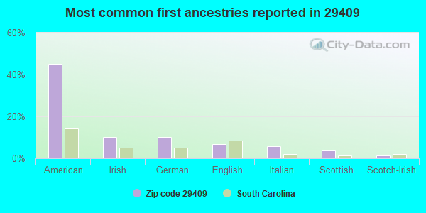 Most common first ancestries reported in 29409