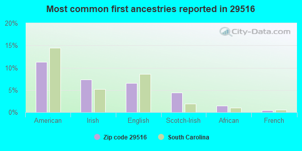 Most common first ancestries reported in 29516