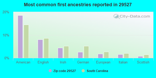 Most common first ancestries reported in 29527