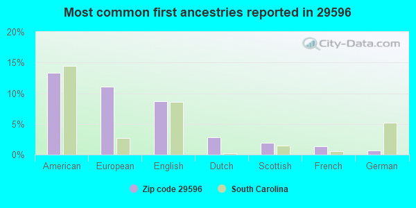 Most common first ancestries reported in 29596