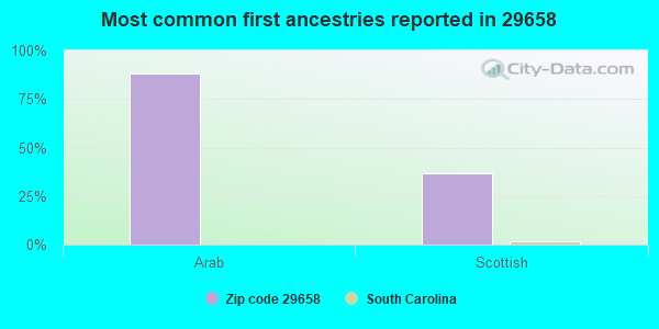 Most common first ancestries reported in 29658